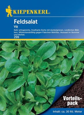 Feldsalat Vit (Vorteilspack), Inhalt: 20gr., ertragreiche robuste...