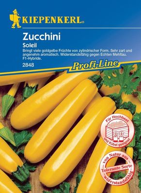 Zucchini Soleil F1, sehr zart und aromatisch, nicht rankend, trägt viele...