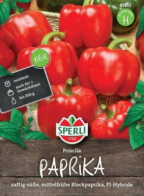 Paprika Priscila F1, blockigen kräftig roten Früchte werden ca. 200 g schwer,