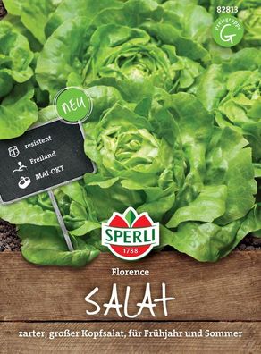 Salat Florence, für den Freilandanbau im Frühjahr und Sommer geeignet, ...