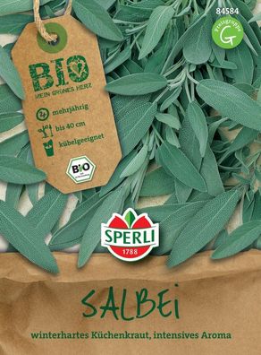 BIO Salbei, mehrjährige Heil- und Gewürzpflanze mit einem breiten buschigen...