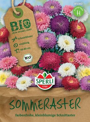 BIO Sommeraster, kleinblumige gefüllt blühende 'Zuckertüten Mix' begeistert...