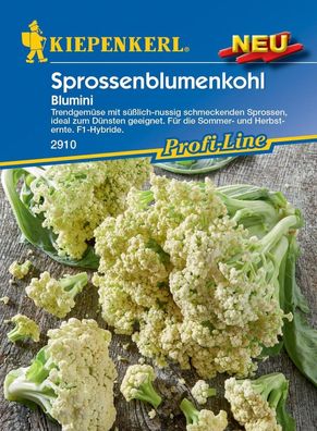 Sprossenblumenkohl Blumini Trendgemüse mit süßlich-nussig schmeckenden Sprossen
