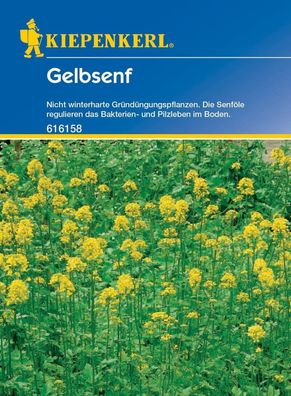 Gelbsenf, 80 g für ca. 20 m², nicht winterharte Gründüngungspflanze