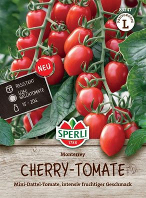 Cherrytomate Monterrey F1 (Mini Dattel Tomate), Geschmack: intensiv-fruchtig, ...