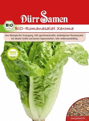 BIO Romana-Salat Xaroma genügsam und pflegeleicht