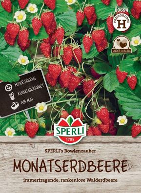 Monatserdbeere SPERLI's Bowlenzauber, perfekt zum Naschen, Saatgut von Sperli