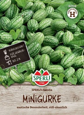 Minigurke SPERLI's Sandia, Snackgurke, für Gewächshaus und Freiland, Saatgut