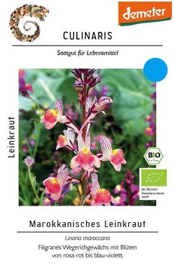 Marokkanisches Leinkraut rosa bis violette Blüten