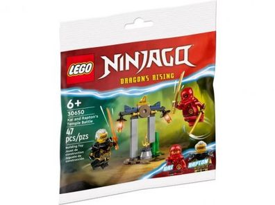 Lego 30650 - Ninjago Kai And Rapton Temple Battle - LEGO - (Spielwaren ...
