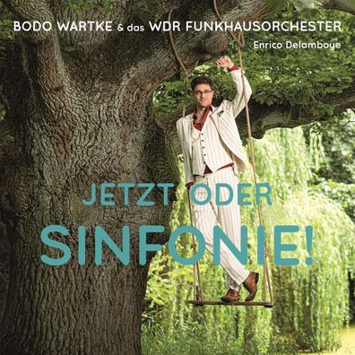Bodo Wartke: Jetzt oder Sinfonie! - - (Vinyl / Rock (Vinyl))
