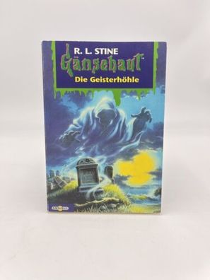 Gänsehaut Buch Band 39 Die Geisterhöhle Kinder Grusel Geschichte R.L. Stine