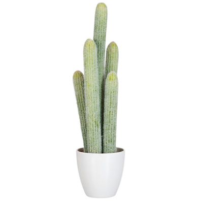 Cactus, Kunstpflanze, Hellgrün, H 52,5 cm, von J-Line