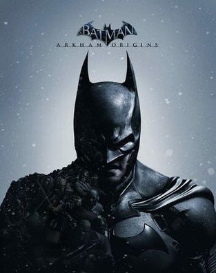 Batman: Arkham Origins Steam PC Key Global