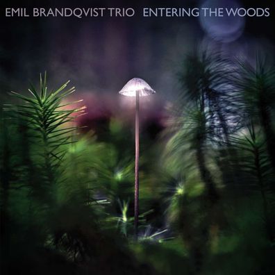 Emil Brandqvist: Entering The Woods - - (CD / E)