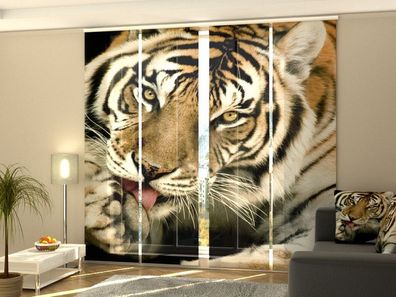 Foto-Schiebegardine Tiger, Flächenvorhang mit Motiv, Digitaldruck, Gardine auf Maß