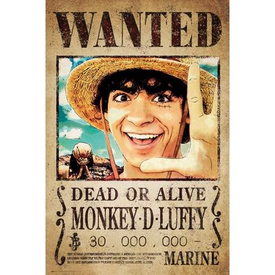 One Piece Poster Wanted Monkey D. Luffy (38 LE)