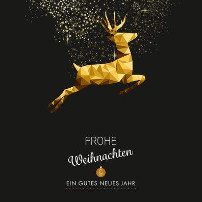 25x Präsentkarton für ein Flasche Bocksbeutel Frohe Weihnachten & Versandkarton