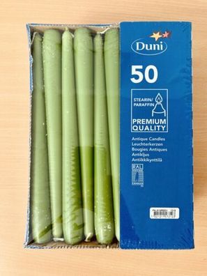 DDuni Spitzkerzen Leuchterkerzen palm green 100 Stück Duni candlesticks