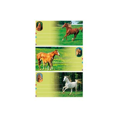 Roth Buchetiketten Pferde-Fotos, ca. 7,5x4,5 cm, 3x3 Etiketten