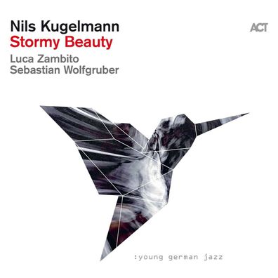 Nils Kugelmann: Stormy Beauty - - (CD / S)
