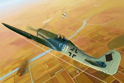 Hobby Boss 1:48 81718 Focke-Wulf FW 190D-11