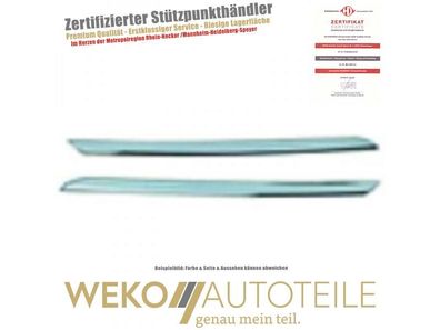 Zier-/ Schutzleiste, Kühlergitter Diederichs 4416044 für Renault
