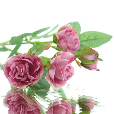 GASPER Blütenstiel Polyantha-Rose Altrosa 3 Blüten & 1 Knospe- Kunstblumen