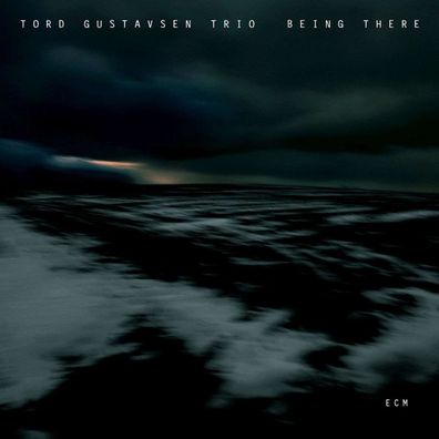Tord Gustavsen: Being There