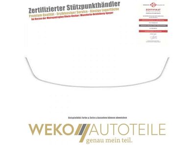 Zier-/ Schutzleiste, Stoßfänger vorne Diederichs 4466044 für Renault