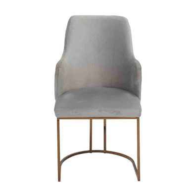 Modern Esszimmerstuhl Küchenstühle Luxus Design Stuhl Lehnstühle Grau Neu