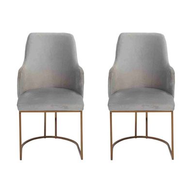 Modern Esszimmerstuhl Küchenstühle Luxus Design 2x Stühle Lehnstühle Grau Neu