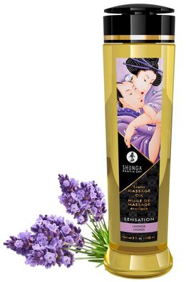 240 ml - SHUNGA Massage Öl Sensation (Lavender) 2