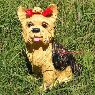 Yorkshire Terrier Hund Figur Statue Skulptur lebensecht Dekoration Fan Artikel