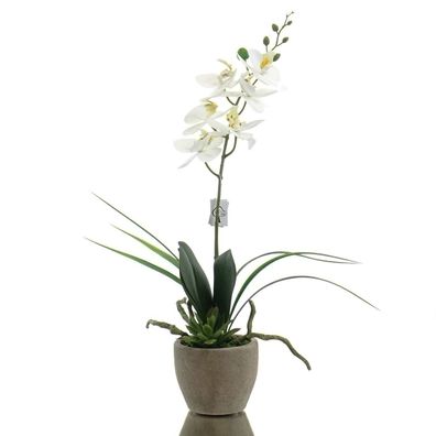 GASPER Orchideenarrangement Weiß im schwarzen Topf 45 cm - Kunstblumen