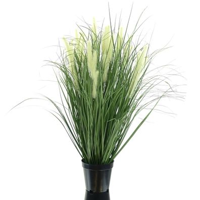 GASPER Ziergras - Pennisetum Grün buschig schwarzer Topf 65 cm - Kunstpflanzen