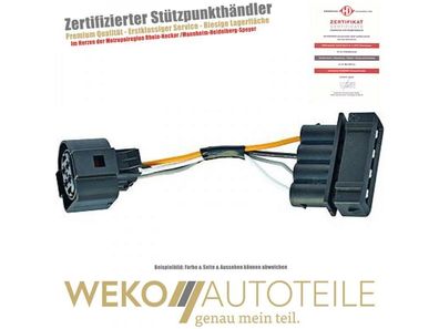 Umrüstsatz, Scheinwerfer Diederichs 2212287 für VW