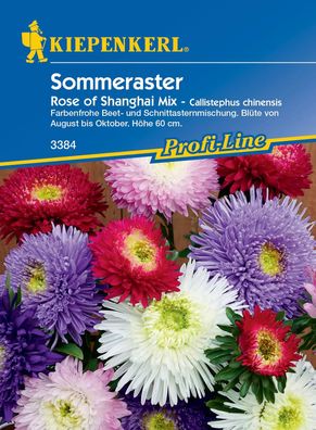 Kiepenkerl® Sommeraster Rose of Shanghai Mix - Blumensamen