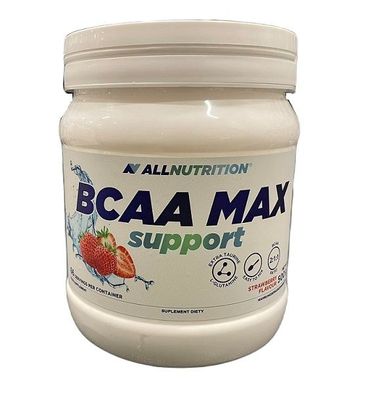 BCAA Max Support, Strawberry - 500g