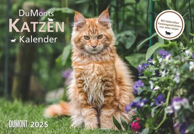 Kalender 2025 - DuMonts Katzenkalender 2025- 42 x 29cm