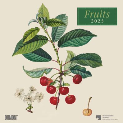 Kalender 2025 - Fruits 2025- 30 x 30cm