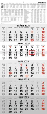 Kalender 2025 -5-Monatskalender 2025- 30 x 71,8cm