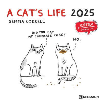 Kalender 2025 -A Cat's Life 2025- 30 x 30cm