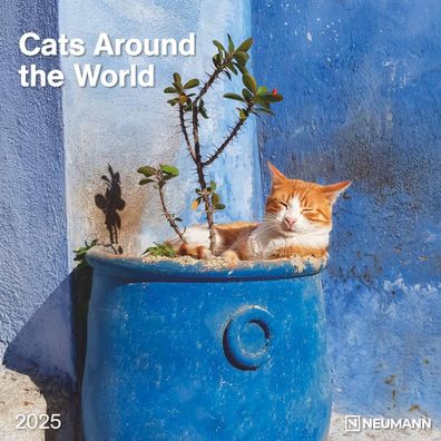 Kalender 2025 -Cats Around the World 2025- 30 x 30cm