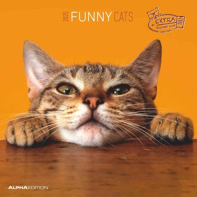 Kalender 2025 -Funny Cats 2025- 30 x 30cm