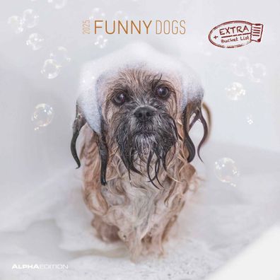 Kalender 2025 -Funny Dogs 2025- 30 x 30cm