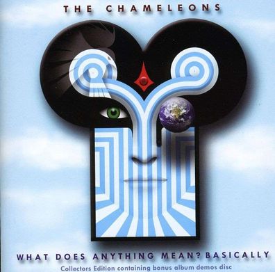The Chameleons (Post-Punk UK): What Does Anything Mean...