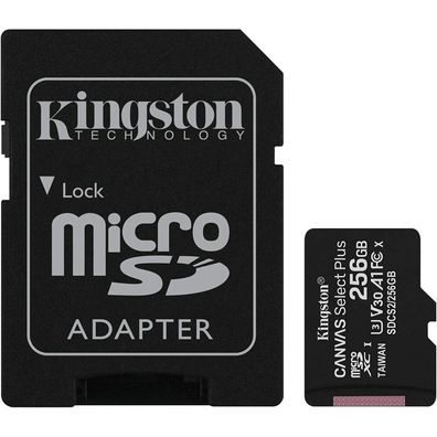 R100 256 GB microSDXC (schwarz, UHS-I U3, Class 10, V30, A2)