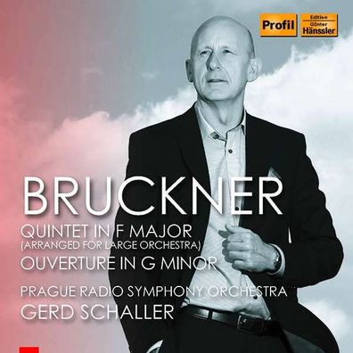 Anton Bruckner (1824-1896): Streichquintett F-Dur für großes Orchester - - (CD / T