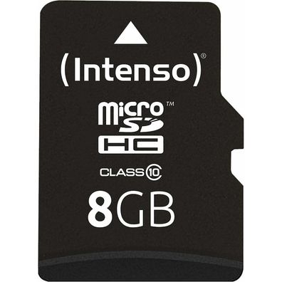 microSDHC 8 GB (Class 10)